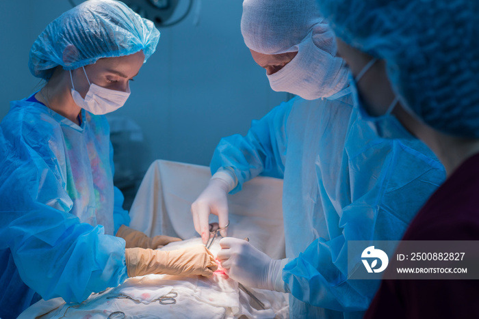 Children’s surgeons perform urological surgery. A man and a woman in a mask, and a blue sterile gown, in the operating room.