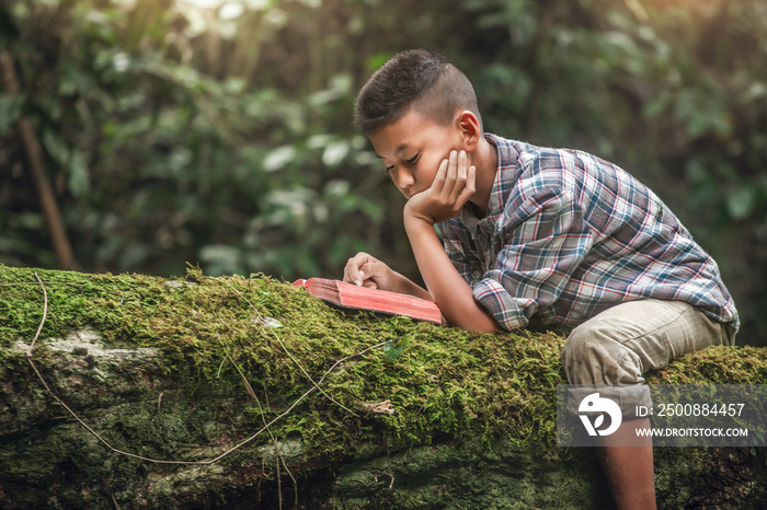 Boy reading book or holy bible on tree with moss. Children and religion.