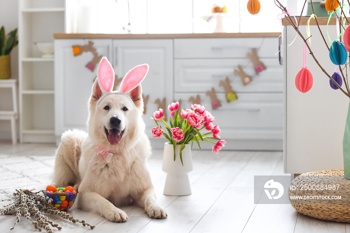 Cute dog with bunny ears, flowers and Easter basket at home