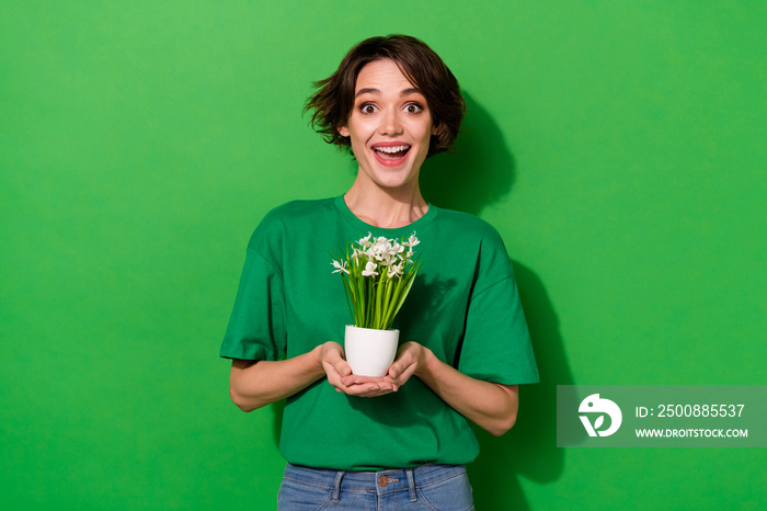 Photo of adorable excited young lady dressed casual t-shirt smiling holding office plant isolated green color background