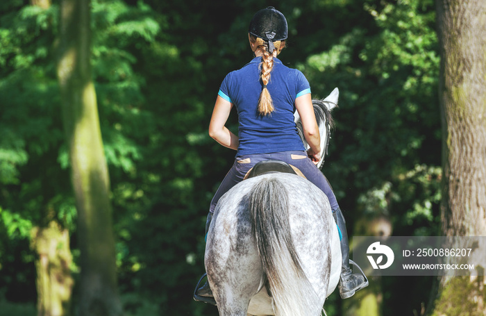 Horse rider woman riding near forest, horsewoman sport wear