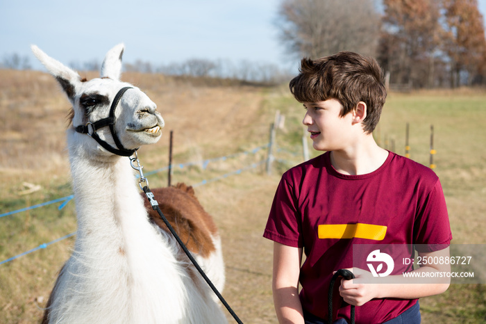 Boy talking to his llama