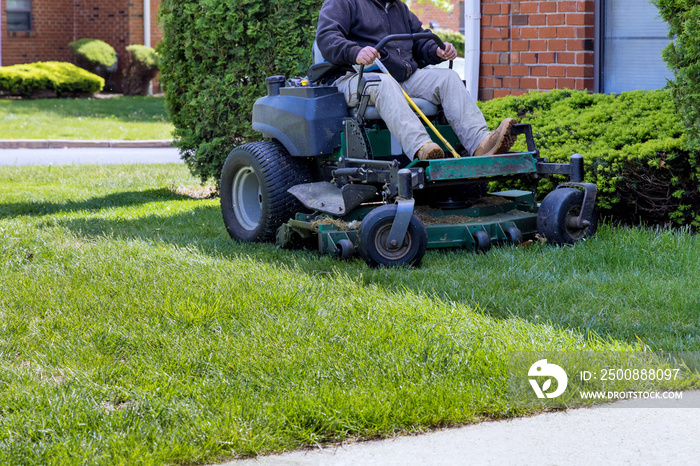 Evergreen landscaped garden with man cut lawn using gasoline-powered self-propelled lawn mower on sunny spring day.