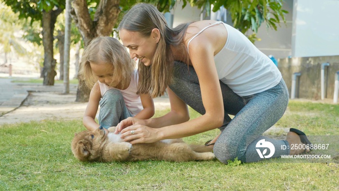 Mother and child playing with puppy on a warm summer day outdoor