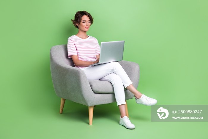 Full size photo of charming young woman focused laptop confident manager wear stylish striped garment isolated on green color background