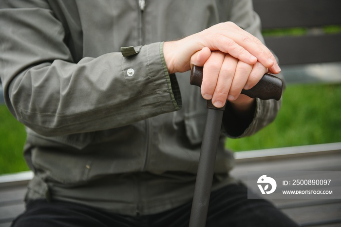 Portrait of senior man holding walking stick while resting in park.