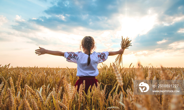 Child in a wheat field. In vyshyvanka, the concept of the Independence Day of Ukraine. Selective focus.