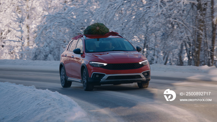 Family driving home with a Christmas tree tied to a roof of a generic red car on a scenic forest road, trees covered with show