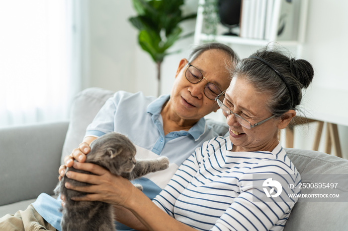 Asian senior couple stroking and play with domestic cat in living room