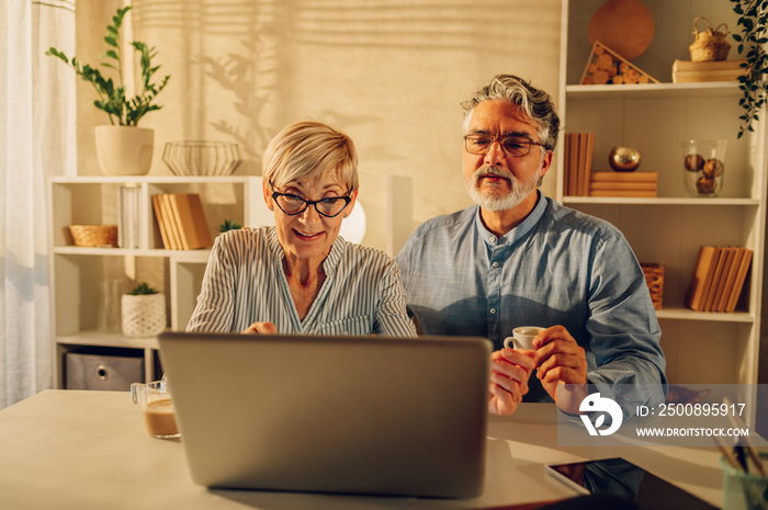 Senior couple using a laptop at home