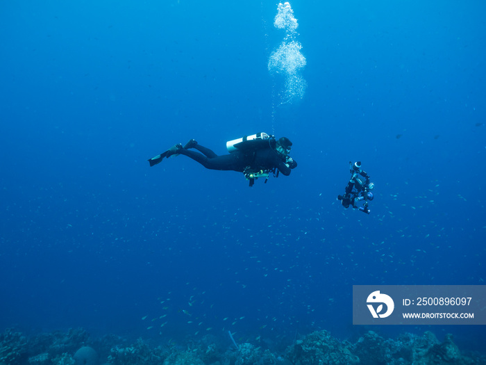 Professional diver, underwater cinematographer in coral reef of Caribbean Sea around Curacao