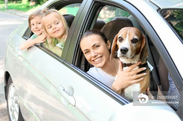 Happy family with cute dog sitting in car