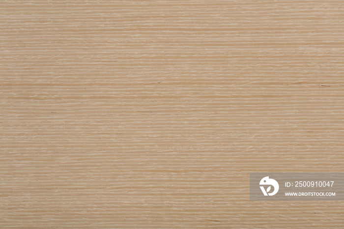 Natural light beige oak veneer background as part of your design