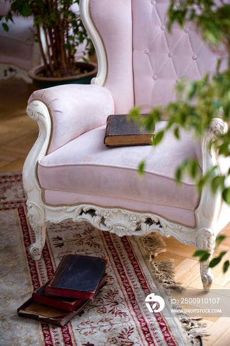 Beautiful pink Shabby chic armchair with book on it and around.