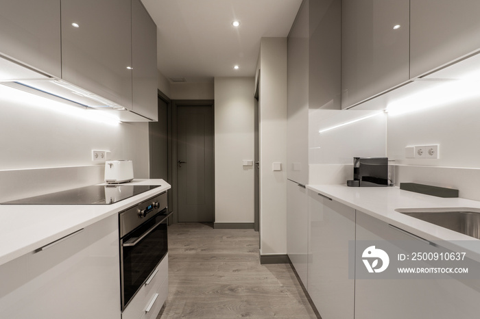 Kitchen with gray and white glossy wooden furniture on two opposite walls and gray wooden flooring.