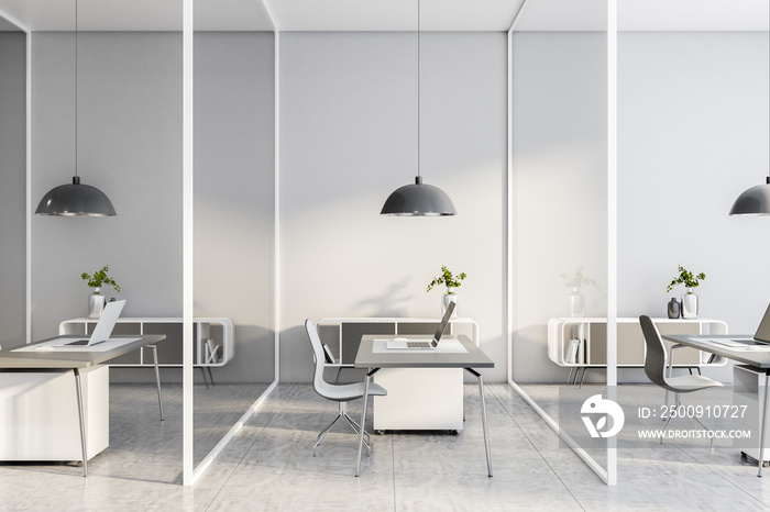 Monochrome style interior design of openspace office with glass walls between workspaces