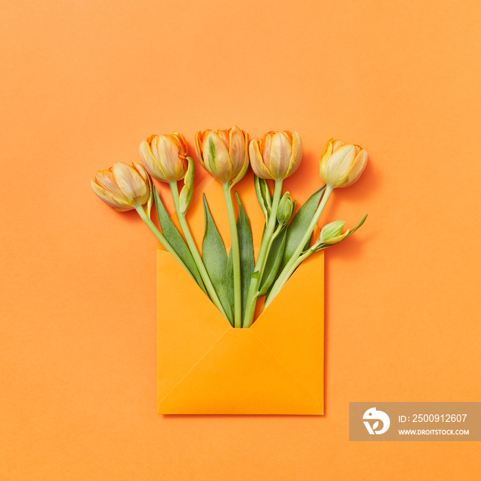 Fresh spring tulips as a gift in a craft envelope on an orange background.