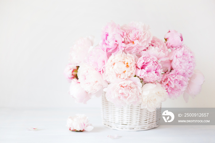 beautiful pink peony flowers bouquet in vase