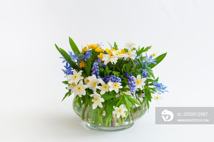 Delicate bouquet of the first spring flowers anemone, snowdrop and muscari in a glass vase on a whit