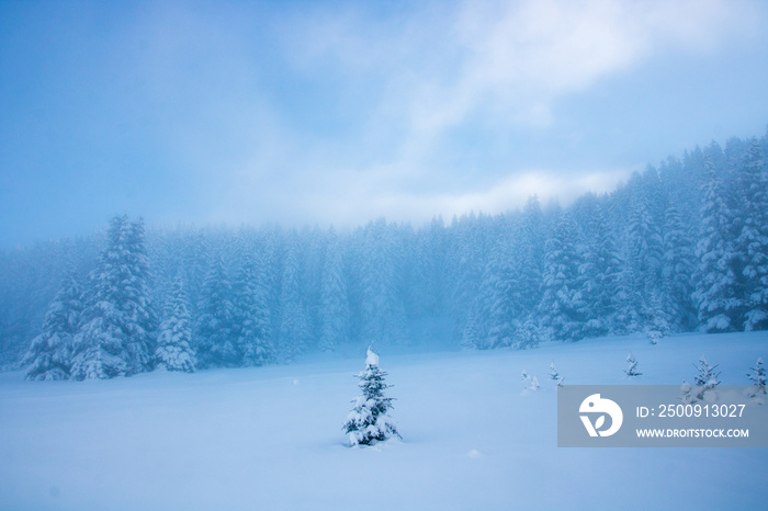 paysage enneigée de haute montagne en hiver avec une brume matinale