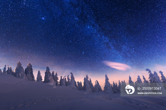 Fantastic winter landscape glowing by star light. Dramatic wintry scene with snowy trees and milky w