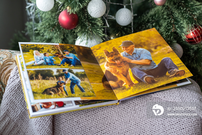 photobooks near the New Year tree, colored as a gift for the holiday.