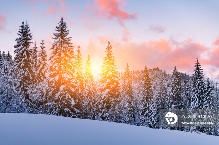 Fantastic orange winter landscape in snowy mountains glowing by sunlight. Dramatic wintry scene with