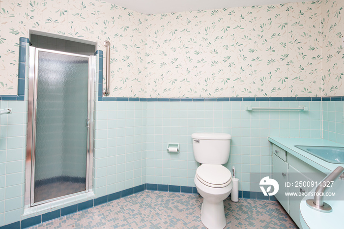 Vintage Blue Bathroom