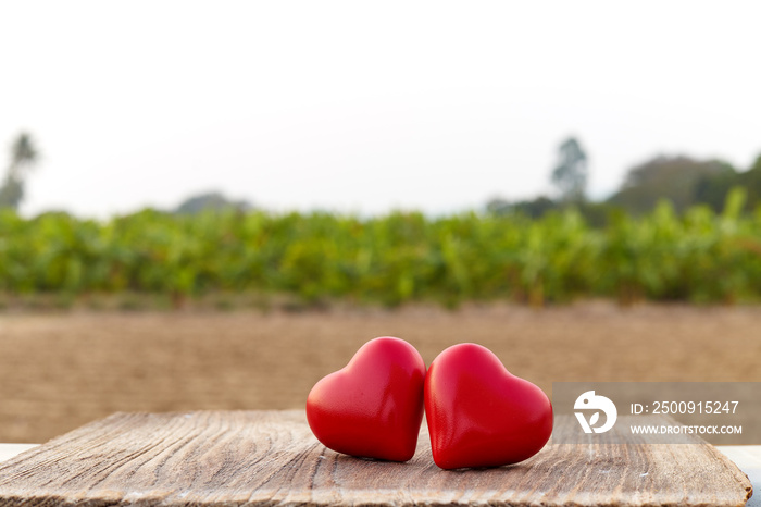 Two Heart on a wooden board