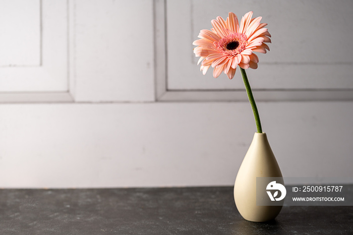 Pink Gerbera daisy flower in vase. Beautiful moody floral background