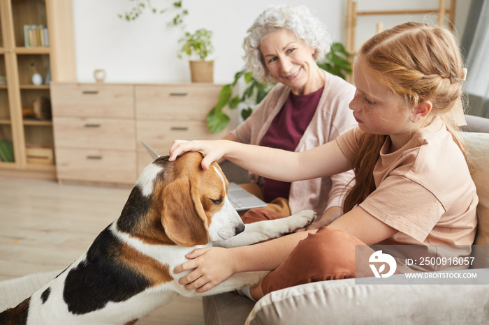 Warm toned side view portrait of cute girl playing with dog while enjoying family time in cozy home 