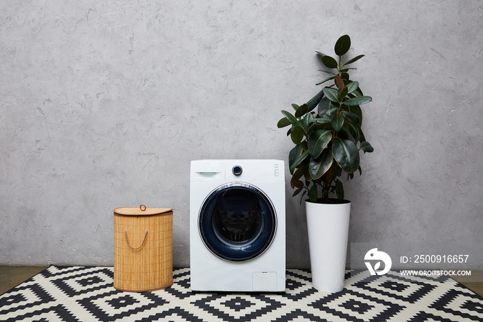 washing machine near green plant, laundry basket and ornamental carpet in modern bathroom
