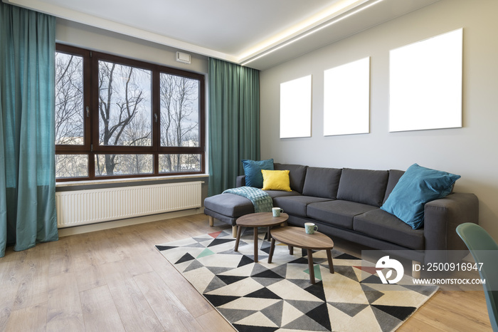 Modern stylish interior design - living room