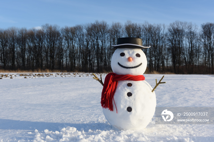 Funny snowman in stylish black hat and red scalf on snowy field. Merry Christmass and happy New Year