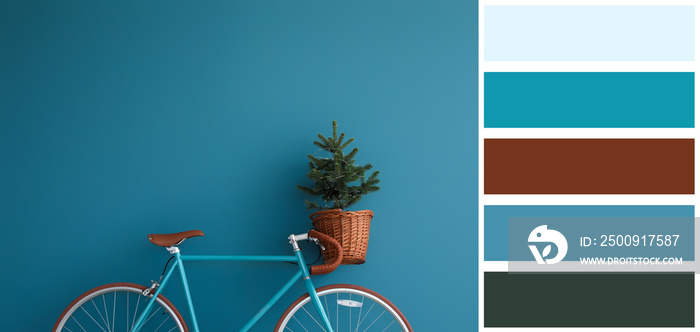 Bicycle with Christmas tree in basket near blue wall. Different color patterns