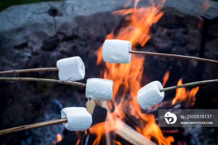 Closeup of sweet marshmallows on stick over the bonfire