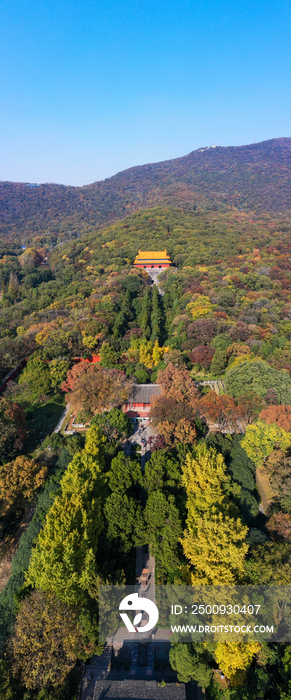 南京明孝陵