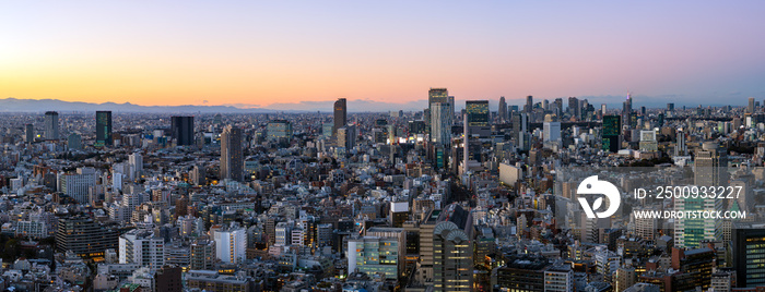 Magic hour cityscape of Tokyo Shinjyuku and Shibuya area panoramic view.