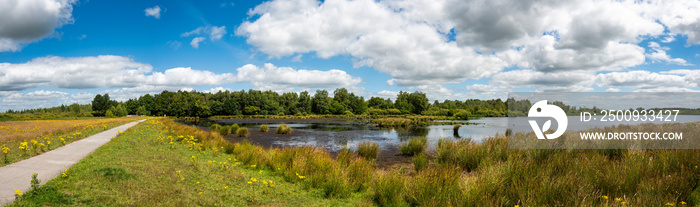 Landscape view over green grass, heather vegetation and water ponds of the fen national park, The Netherlands