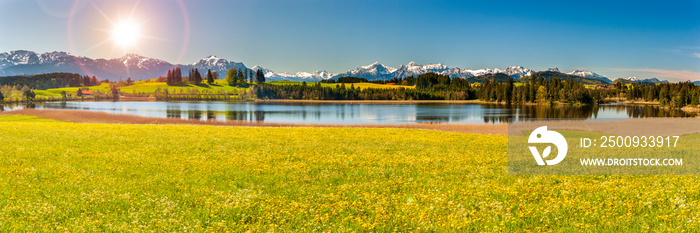 beautiful rural landscape in Bavaria with mountain range and meadow at springtime