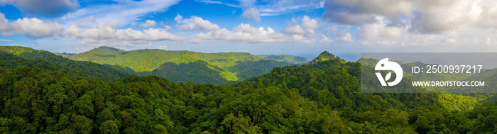 Beautiful panorama of the tropical island forest. Huge hills covered in trees at sunset.