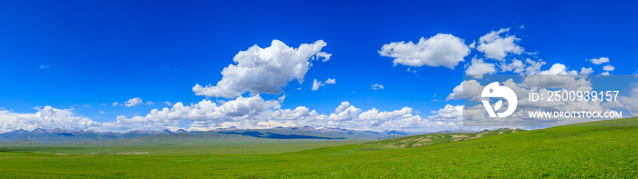 Green grassland natural scenery in Xinjiang,China.Wide grassland and blue sky with white clouds landscape.panoramic view.