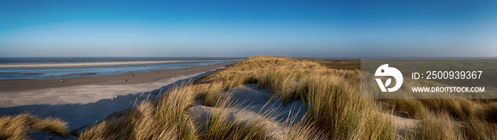 Panoramic View on the North Frisian Island Amrum in Germany