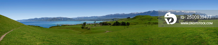 Walking around Kaikoura Peninsula, New Zealand on a beautiful Spring day.