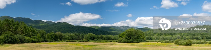 Panoramic view of a forest in the Adirondack Mountains in summer