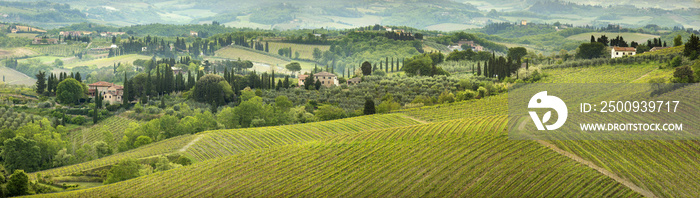 morning panorama in Tuscany valley in Italy