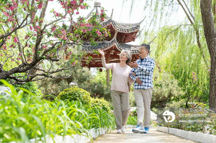 老年夫妻旅游