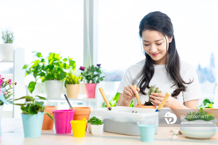 年轻女子在家种植盆栽