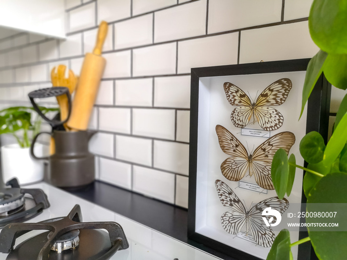 Beautiful black and white framed butterflies in a black and white subway tiled kitchen