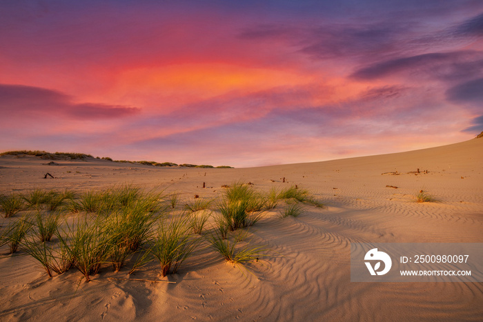 Beautiful dessert landscape during sunset